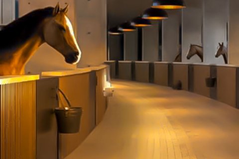 Vila u gradu Dubai Investment Park, UAE 4 spavaće sobe, 356.56 m2 Br. 771328 - Slika 10