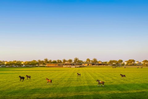 Vila u gradu Dubai Investment Park, UAE 4 spavaće sobe, 356.56 m2 Br. 771328 - Slika 6