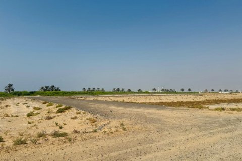 Terrain à vendre à  Al Zorah, Ajman, EAU 4955 m2 № 637961 - photo 4