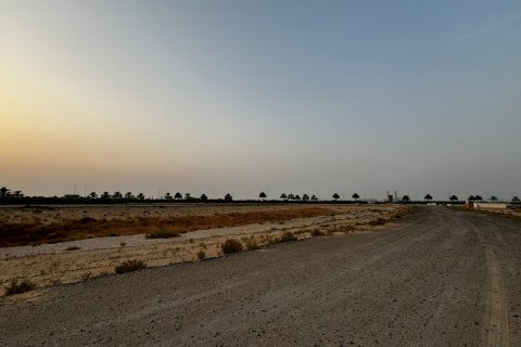 Działka na sprzedaż w Al Zorah, Ajman, ZEA 11892 mkw., nr 637949 - zdjęcie 10