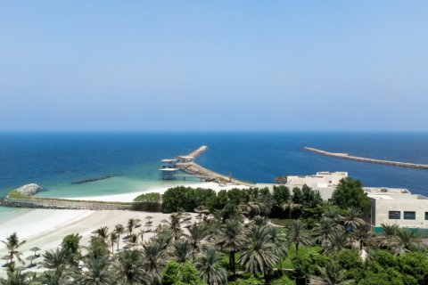 Terra para venda em Al Zorah, Ajman, EAU 3252 m2 № 641278 - foto 25