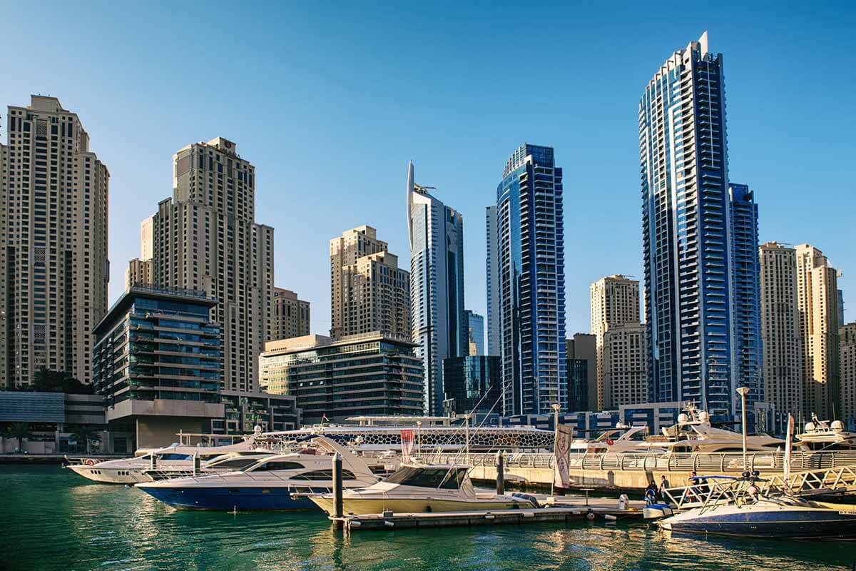 Rules for the import of animals to the UAE in 2024