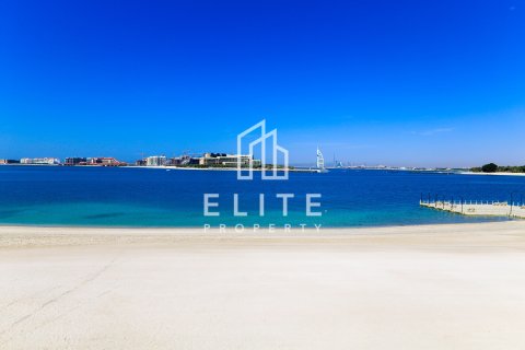 Vila v Palm Jumeirah, Dubai, SAE 5 spální, 314 m2 č. 736462