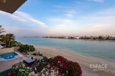 Palm Jumeirah, Dubai, UAE의 판매용 빌라 침실 5개, 496제곱미터 번호 649880 - 사진 20