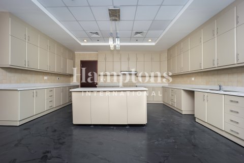 阿联酋 Dubai Dubai Marina 待租 : 5 卧, 714.14536100 平方米 , 编号697167 - 照片 4