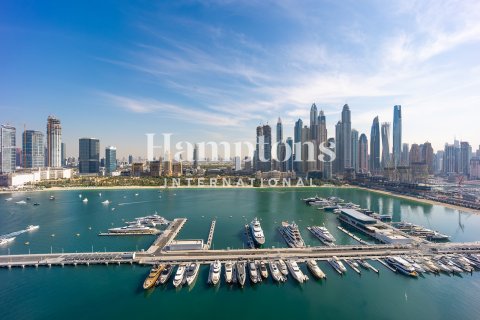 Dubai Harbour, Dubai, संयुक्त अरब अमीरात में अपार्टमेंट, 3 बेडरूम, 178.188 वर्ग मीटर, संख्या 764521 - फ़ोटो 22