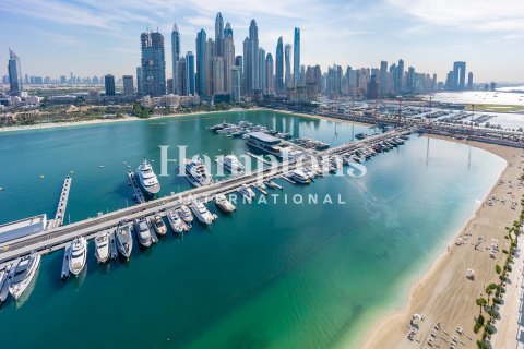 Dubai Harbour, Dubai, संयुक्त अरब अमीरात में अपार्टमेंट, 3 बेडरूम, 178.188 वर्ग मीटर, संख्या 764521 - फ़ोटो 10