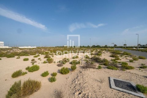 Zemlja u gradu Jebel Ali, Dubai, UAE 1013.76 m2 Br. 761651 - Slika 9