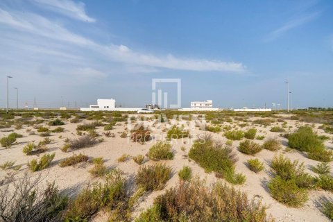 Zemlja u gradu Jebel Ali, Dubai, UAE 1013.76 m2 Br. 761651 - Slika 5