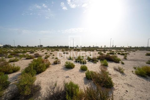 Zemlja u gradu Jebel Ali, Dubai, UAE 1013.76 m2 Br. 761651 - Slika 7