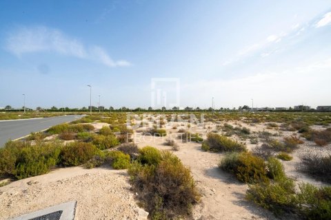 Zemlja u gradu Jebel Ali, Dubai, UAE 1013.76 m2 Br. 761651 - Slika 12