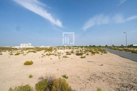 Działka na sprzedaż w Jebel Ali, Dubai, ZEA 1013.67 mkw., nr 761652 - zdjęcie 9