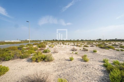 Działka na sprzedaż w Jebel Ali, Dubai, ZEA 1013.67 mkw., nr 761652 - zdjęcie 4