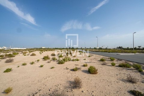 Działka na sprzedaż w Jebel Ali, Dubai, ZEA 1013.67 mkw., nr 761652 - zdjęcie 6