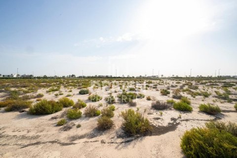 Zemlja u gradu Jebel Ali, Dubai, UAE 1013.67 m2 Br. 761652