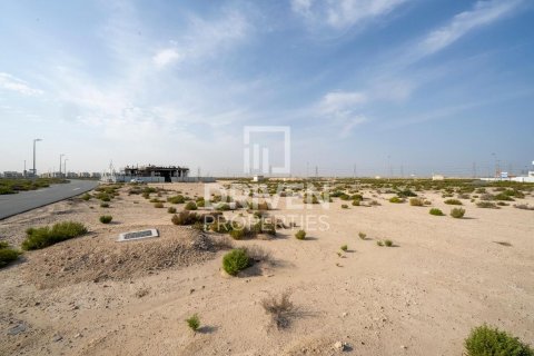 Działka na sprzedaż w Jebel Ali, Dubai, ZEA 1013.67 mkw., nr 761652 - zdjęcie 7
