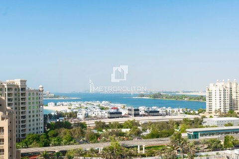 Palm Jumeirah, Dubai, BAE’de satılık penthouse 5 yatak odası, 456 m&sup2; No 663582 - fotoğraf 11