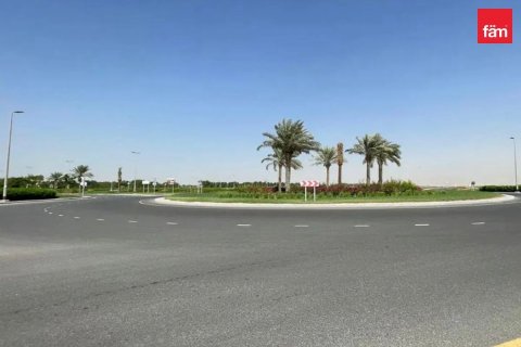 Zemljište u Jebel Ali, Dubai, UAE 1126.8 m2 Br. 696885 - fotografija 7