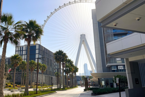 Byt v Bluewaters, Dubai, SAE 3 ložnice, 190 m² Č.: 734358 - fotografie 13