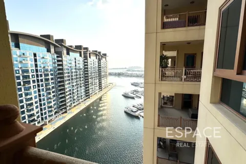 آپارتمان برای اجاره در Palm Jumeirah، Dubai، امارات متحده عربی 2 خوابه ، 165 متر مربع ، شماره 738299 - تصویر 10