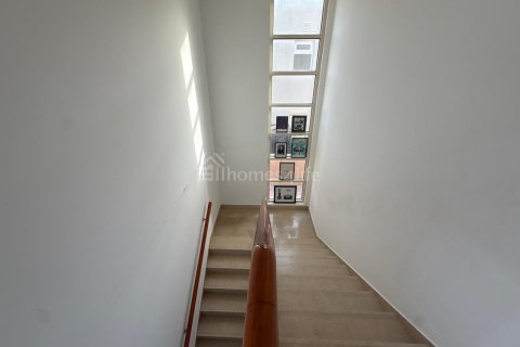 Villa itt: Arabian Ranches, Dubai, EAE, 3 hálószoba, 588 m², azonosító: 726919 - fénykép 11