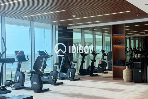 阿联酋 Dubai Palm Jumeirah 待租 : 3 卧, 294.5 平方米 , 编号735801 - 照片 12