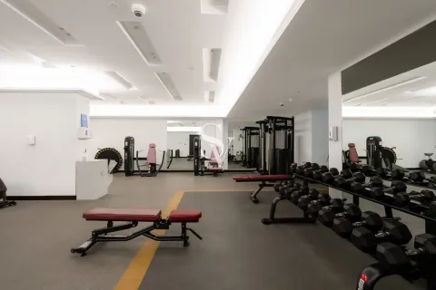 Zabeel, Dubai, UAE의 임대용 아파트 침실 2개, 149제곱미터 번호 709562 - 사진 22