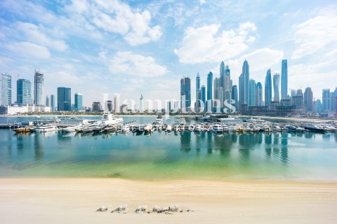 Dubai Harbour, Dubai, BAE’de kiralık daire 1 yatak odası, 80.10932787 m² No 721424 - fotoğraf 29