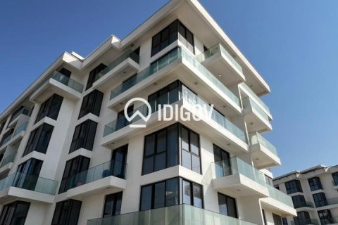 Sharjah Waterfront City, UAE의 판매용 아파트 42.74제곱미터 번호 735613 - 사진 7