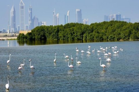 آپارتمان برای فروش در  Ras Al Khor، Dubai، امارات متحده عربی  1 خوابه ، 62.7 متر مربع ، شماره 735273 - تصویر 8