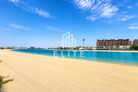 Palm Jumeirah, Dubai, संयुक्त अरब अमीरात में विला, 1 कमरा, 665 वर्ग मीटर, संख्या 736334 - फ़ोटो 18