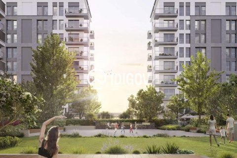 Al Khan, Sharjah, संयुक्त अरब अमीरात में अपार्टमेंट, 1 कमरा, 36.98 वर्ग मीटर, संख्या 735528 - फ़ोटो 13