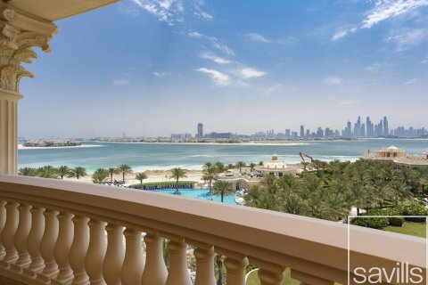Palm Jumeirah, Dubai, संयुक्त अरब अमीरात में अपार्टमेंट, 1 कमरा, 73.11 वर्ग मीटर, संख्या 761190 - फ़ोटो 23