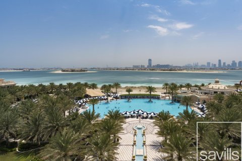 آپارتمان برای فروش در  Palm Jumeirah، Dubai، امارات متحده عربی  1 خوابه ، 162.77 متر مربع ، شماره 761189 - تصویر 21