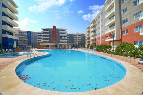 Apartament de vânzare în Al Reef, Abu Dhabi, EAU 3 dormitoare, 144.9 mp. №731269 - poză 3