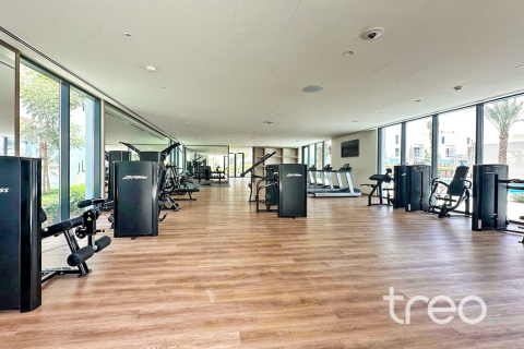 Üürile anda ridamaja asukohaga The Valley, Dubai, AÜE: 4 magamistoaga, 257.43 m² Nr 755519 - pilt 12