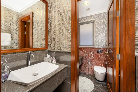 Vila v The Villa, Dubai, SAE 4 spálne, 538.84 m2 č. 749326 - Fotografia 13