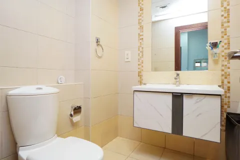 阿联酋 Dubai Business Bay 待售 : 3 卧, 172 平方米 , 编号753915 - 照片 28