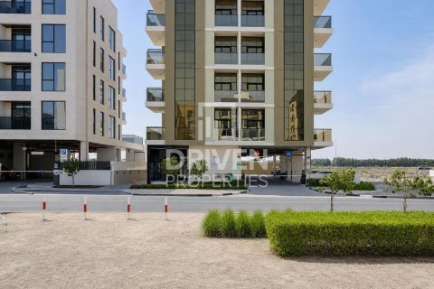 Celtne Dubaijā, AAE 1592.36 m2 Nr. 766963 - attēls 3