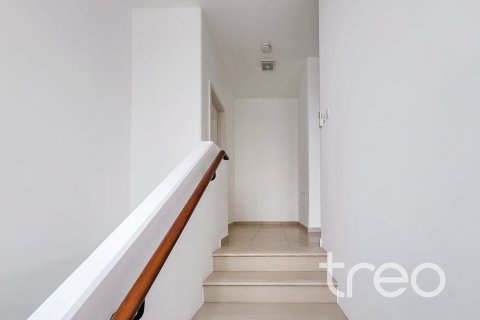 Villa Town Square, Dubaijā, AAE 3 istabas, 220.27 m2 Nr. 761439 - attēls 11