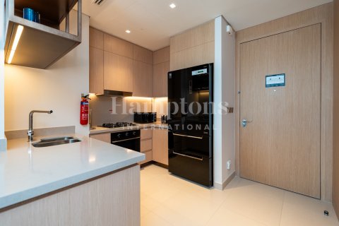 阿联酋 Dubai Downtown Dubai (Downtown Burj Dubai) 待租 : 2 卧, 113.18000878 平方米 , 编号714599 - 照片 15