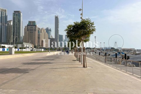 Dubai Harbour、Dubai、UAE にあるマンションの賃貸物件 1ベッドルーム、72.83595200 m2、No766421 - 写真 13