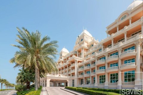 آپارتمان برای فروش در  Palm Jumeirah، Dubai، امارات متحده عربی  2 خوابه ، 390.19 متر مربع ، شماره 761187 - تصویر 23