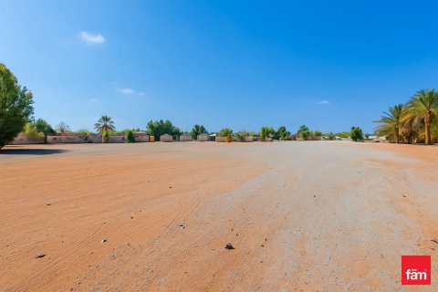 زمین برای فروش در  Al Wasl، Dubai، امارات متحده عربی  930.8 متر مربع ، شماره 679827 - تصویر 7