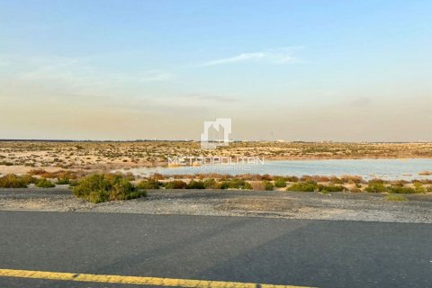 Jebel Ali, Dubai, BAE’de satılık arsa 900 m² No 665216 - fotoğraf 2