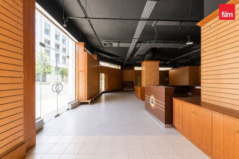 Veikals Dubaijā, AAE 265.7 m2 Nr. 754977 - attēls 4
