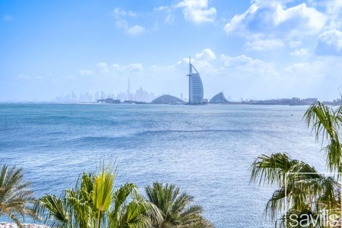 Appartement à Palm Jumeirah, Dubai, EAU: 2 chambres, 164.16 m2 № 747760