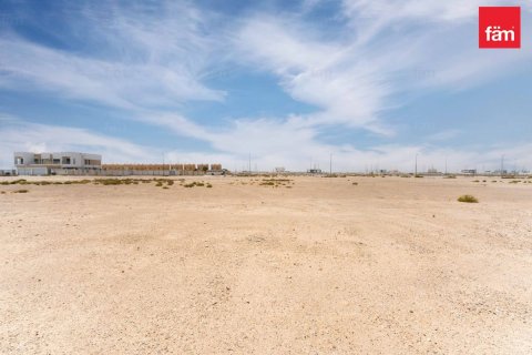 Jebel Ali, Dubai, BAE’de satılık arsa 1138.8 m&sup2; No 766689 - fotoğraf 7