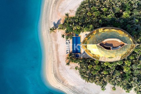 Villa te koop in The World Islands, Dubai, VAE 7 slaapkamers, 2600 vr.m., nr 634292 - foto 9