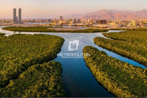 阿联酋 Ras Al Khaimah Mina Al Arab 待售 : 45 平方米 , 编号710838 - 照片 12